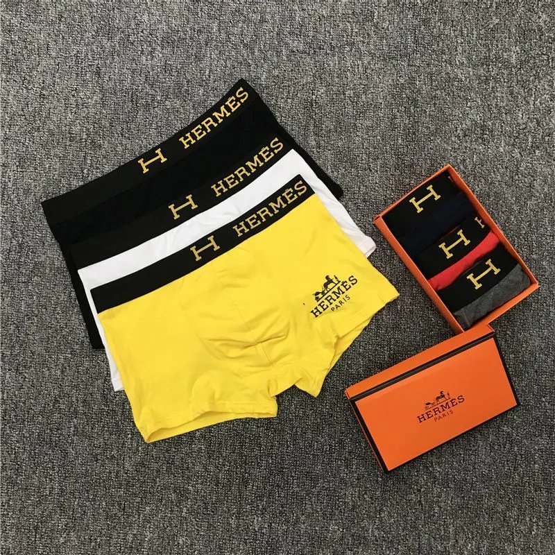 HERMES Underwear -2