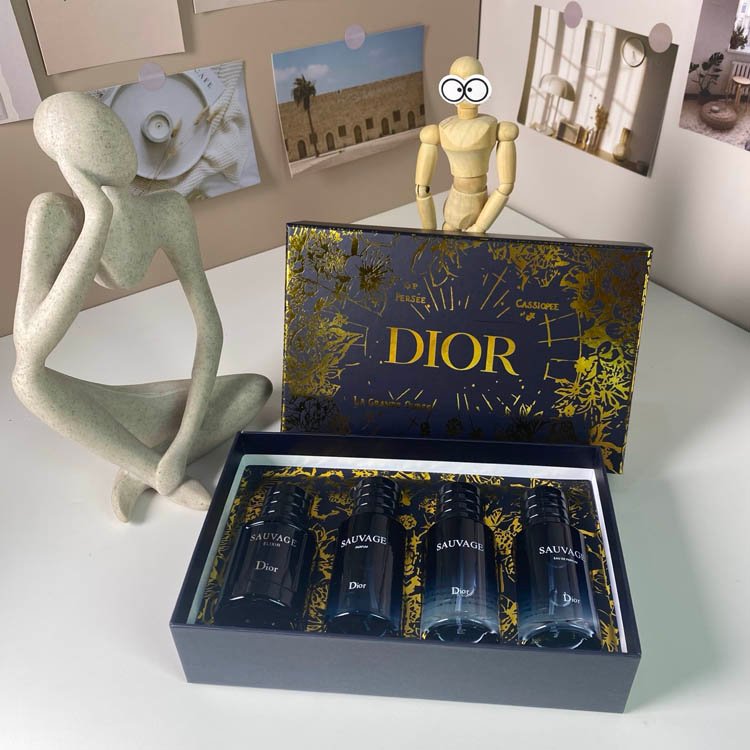 Dior Gold Box Wilderness Medium 4-piece Set-3448                   -1